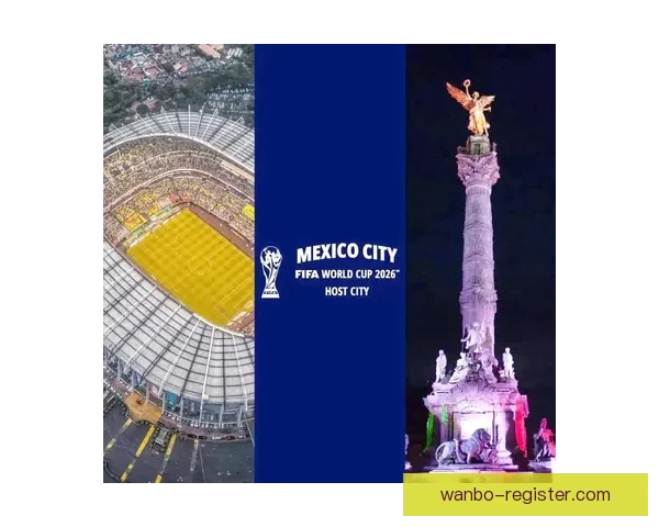 2026美国世界杯球场全景布局城市分布与观赛体验深度解析指南